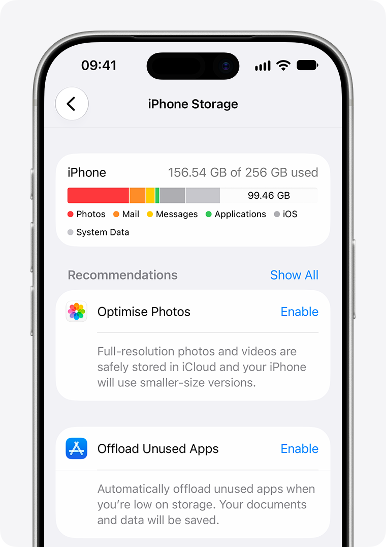 真实 iPhone 储存空间分类与建议界面